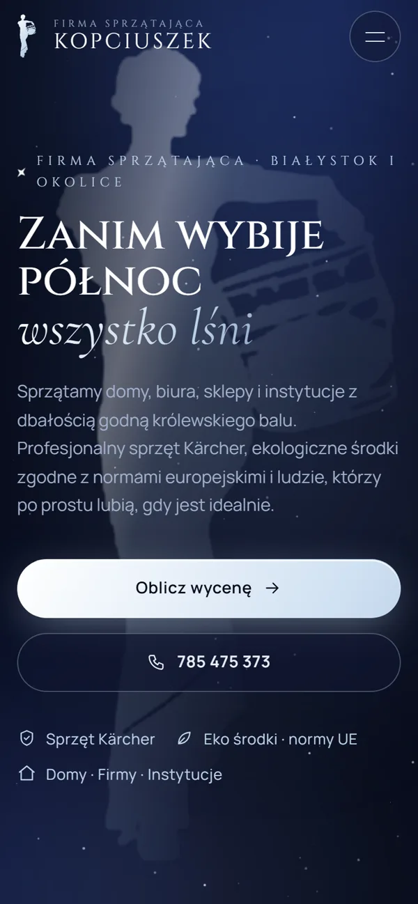 Strona Kopciuszka na telefonie