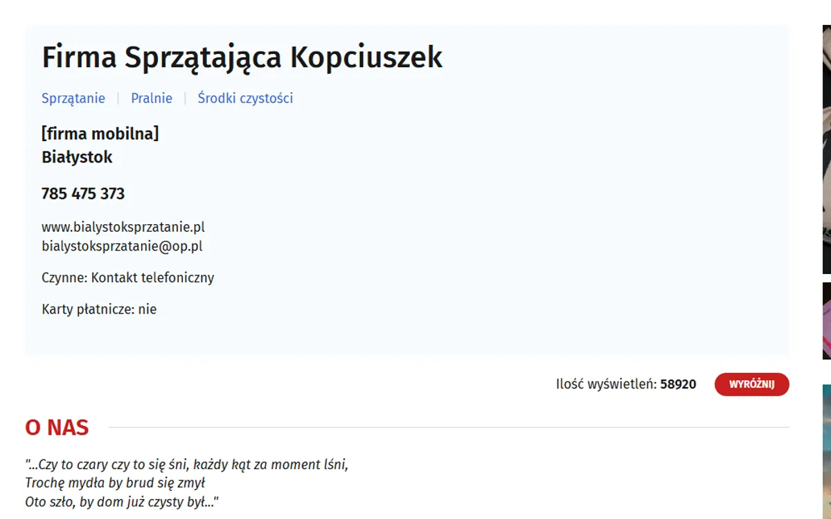 Przed: wpis Kopciuszka w katalogu firm